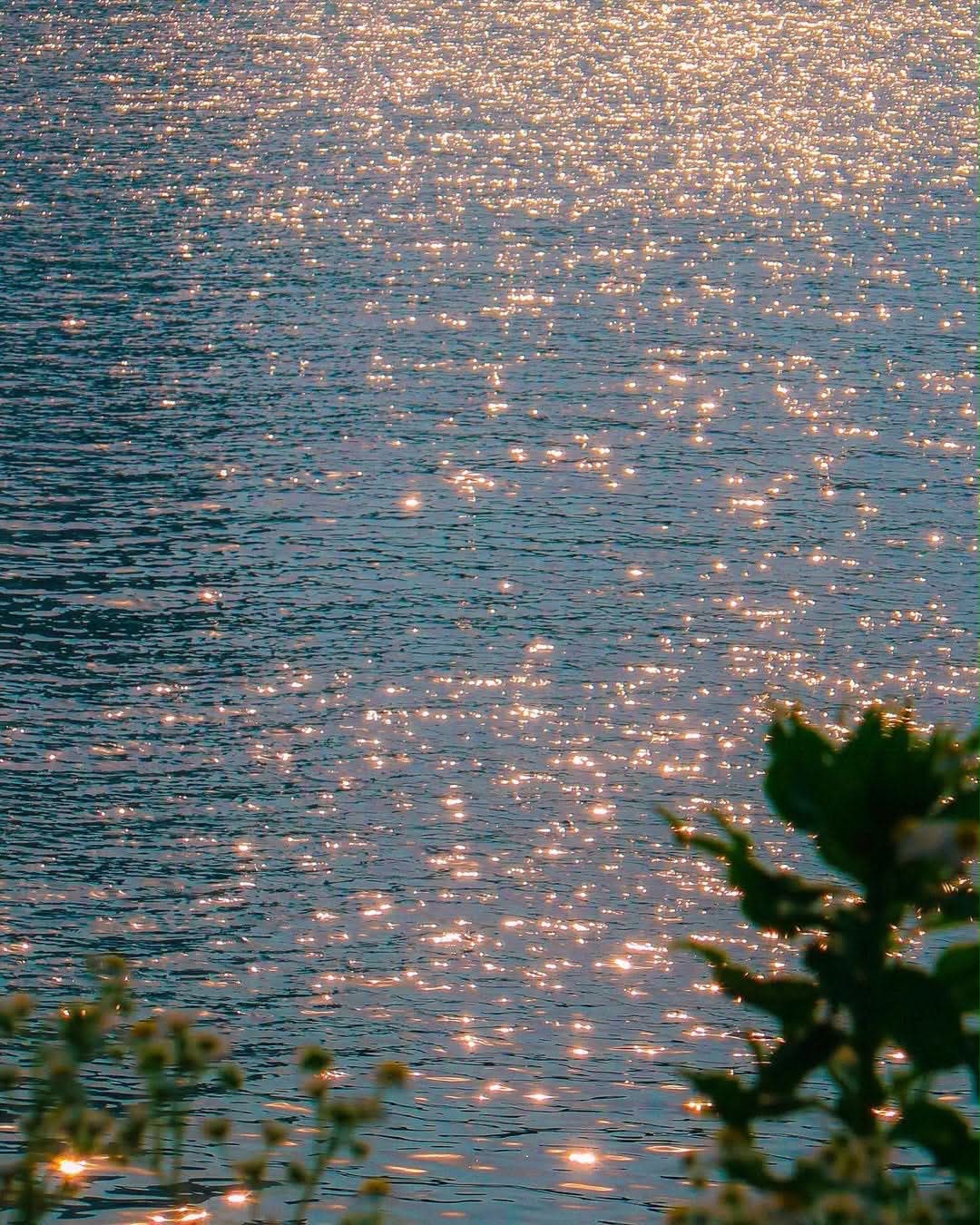 Sunlight glittering across the surface of water, framed by out-of-focus foliage